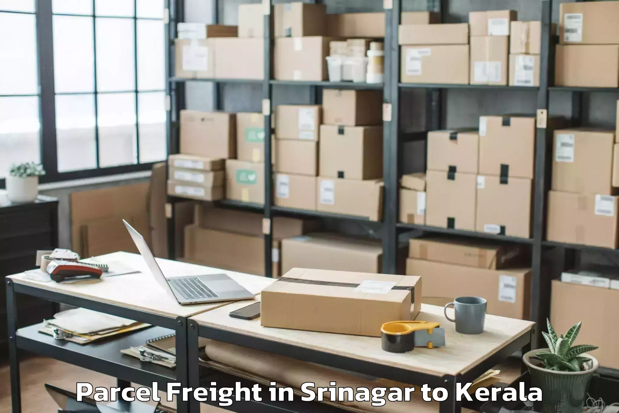 Book Srinagar to Allepey Parcel Freight